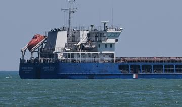 Céréales ukrainiennes: Le cargo russe Zhibek Zholy toujours au large des côtes turques 