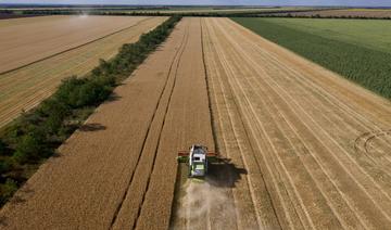 Céréales: le marché retient son souffle, entre canicule et tractations sur le blé ukrainien 