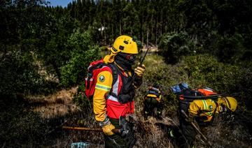 En Espagne et au Portugal, des forêts délaissées à la merci des incendies
