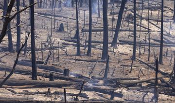 Un incendie géant se propage à toute allure en Californie