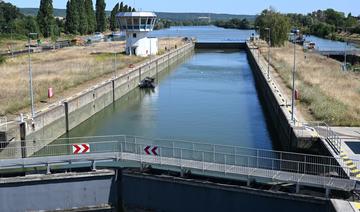 «Peu d'espoir» de sauver le béluga égaré dans la Seine 