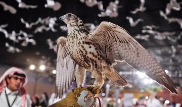La Réserve royale du roi Abdelaziz participe à un événement international saoudien de fauconnerie