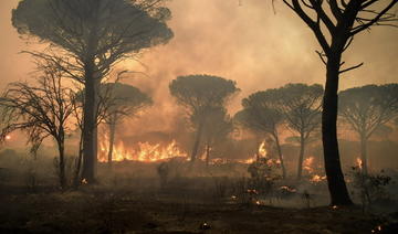 En Dordogne, une centaine d'hectares détruits dans deux incendies en cours