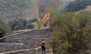 Algérie: Le bilan des incendies dans plusieurs villes monte à 26 morts