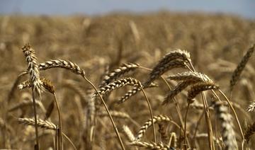 Selon un rapport US, l'Ukraine a perdu environ 15% de ses capacités de stockage de céréales