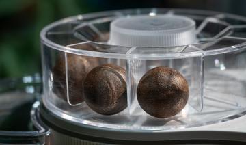 Migros lance des doses de café 100% compostables, sans aluminium ni plastique 
