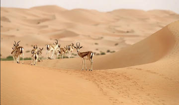 Les réserves naturelles et leur contribution à préserver la biodiversité en Arabie saoudite