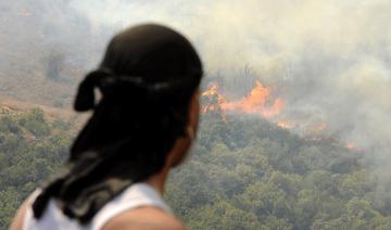 Feux de forêt ravageurs à El Tarf, Souk Ahras et Sétif