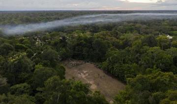 Des scientifiques atteignent le plus grand arbre de l'Amazonie