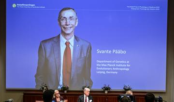 Le Nobel de médecine au Suédois Svante Pääbo, chasseur de l'ADN préhistorique