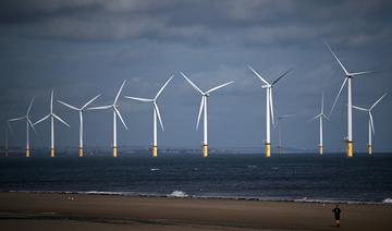 Large feu vert du Sénat à une accélération des énergies renouvelables