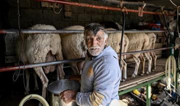 Inflation, prix de l'énergie, ces menaces qui pèsent sur les fromages grecs