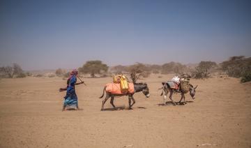 Dans la Corne de l'Afrique, 22 millions de personnes menacées par la sécheresse
