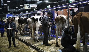 Le Salon de l'agriculture ouvre ses portes samedi, Macron et Ovalie tête d'affiche