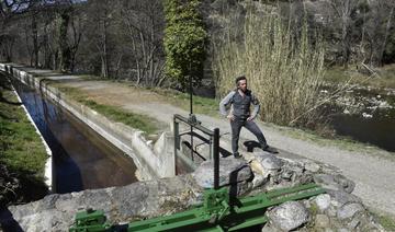 Angoisse d'un printemps à sec pour les agriculteurs des Pyrénées-Orientales