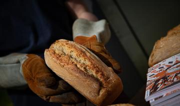 En Normandie, le four solaire du boulanger fonctionne toute l'année