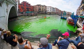 Un tronçon du Grand Canal de Venise vire au vert fluorescent