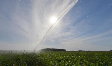 Royaume-Uni: interdiction d'arrosage dans le sud-est face au manque d'eau