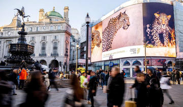 L’ONU choisit le 10 février comme Journée internationale du léopard d’Arabie