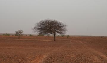 Préparation du sommet africain pour le climat: Pour une approche inclusive inspirée de la stratégie nationale