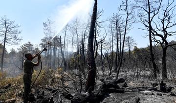 Tunisie: un point de passage fermé avec l'Algérie à cause d'un incendie de forêt