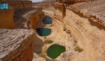 Écotourisme et reforestation: Mohammed ben Salmane approuve les objectifs des Réserves royales