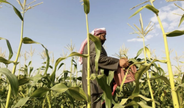 Signature d'un accord pour améliorer l'efficacité des agriculteurs saoudiens et garantir la sécurité alimentaire 