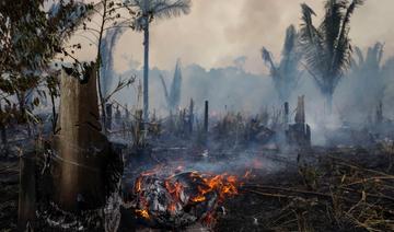 La déforestation dans l'Amazonie brésilienne réduite de moitié en 2023