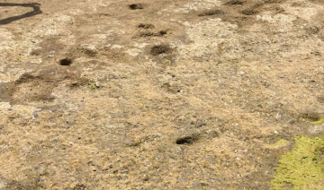 À Larache, découverte des plus anciennes empreintes de pieds humains d’Afrique du Nord et du sud de la Méditerranée