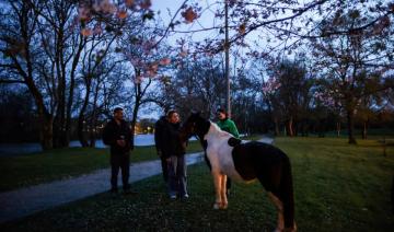 A Angoulême, un poney redonne le sourire aux sans-abri