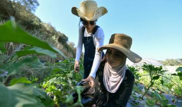 En Algérie, dans un milieu d'hommes, deux pionnières de l'agriculture bio 