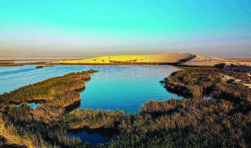 Des flamants hauts en couleurs et des dunes de sable attirent les visiteurs au lac Al-Asfar