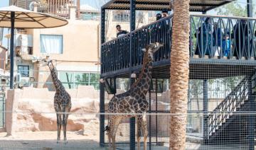 Le zoo de Riyad revient avec de nouvelles expériences interactives dans le cadre de la Riyadh Season