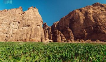 Les membres de la communauté d'AlUla plantent 500 000 arbres et arbustes dans la réserve naturelle de Sharaan