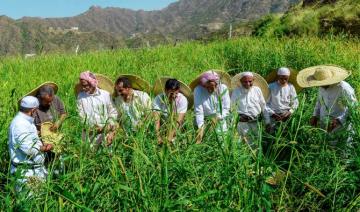 Des chercheurs de l'université KAUST mettent au point des techniques de dessalement pour accroître la production agricole saoudienne