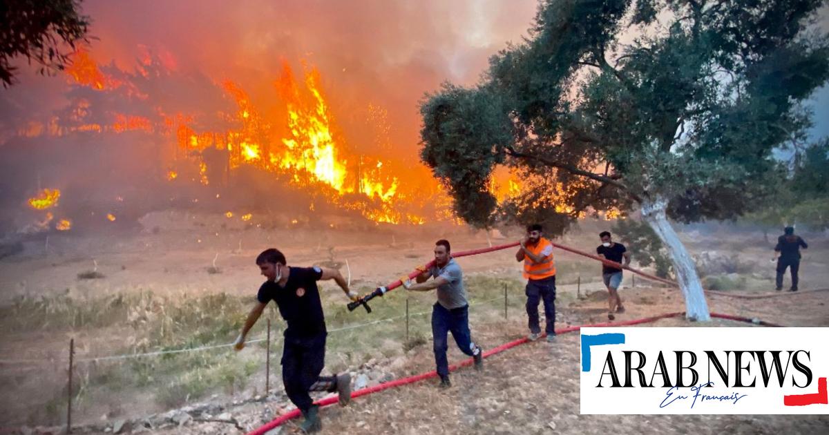 Turquie : 62 personnes hospitalisées après un feu de forêt