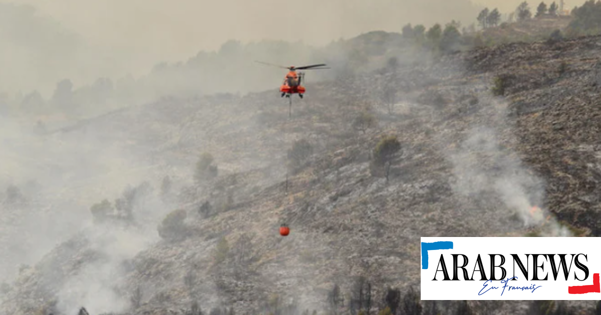 Grande incêndio no centro de Portugal controlado, dois incêndios em Espanha controlados