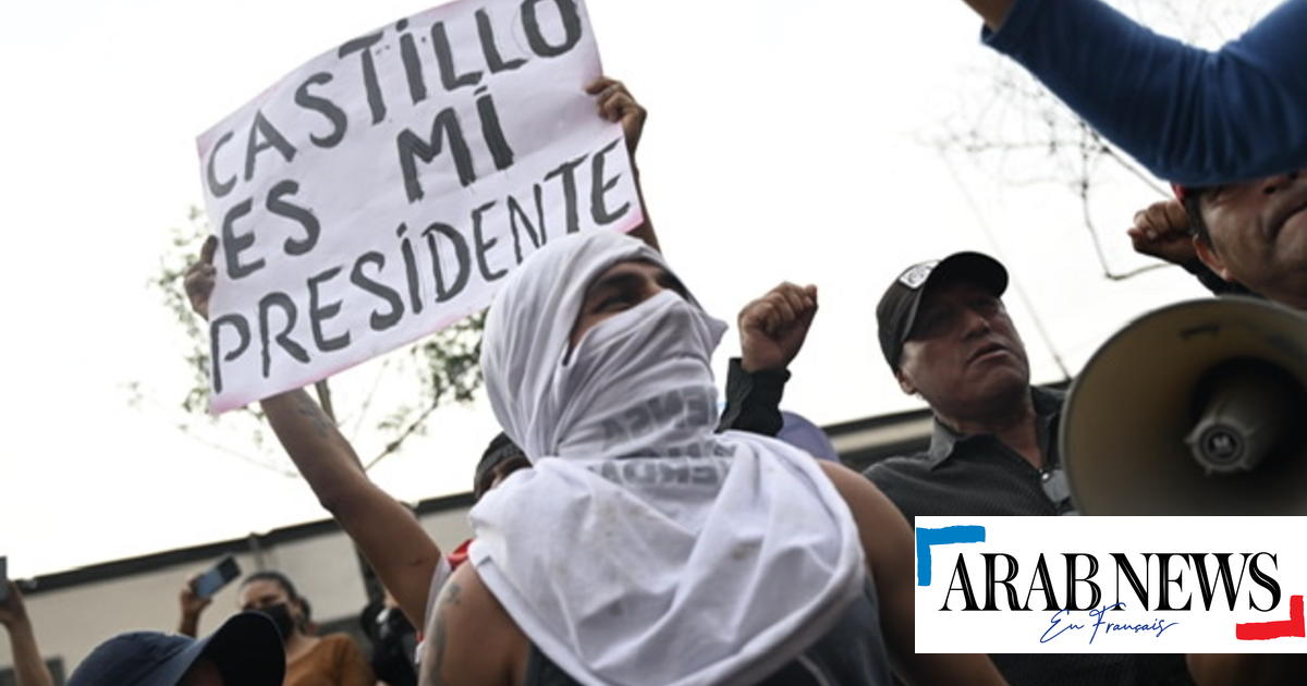 México defiende asilo para Pedro Castillo