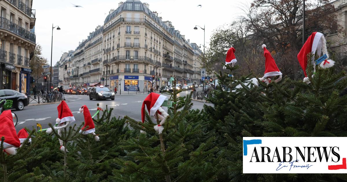 EN IMAGES. À Rennes, le centre-ville a revêtu ses lumières de Noël