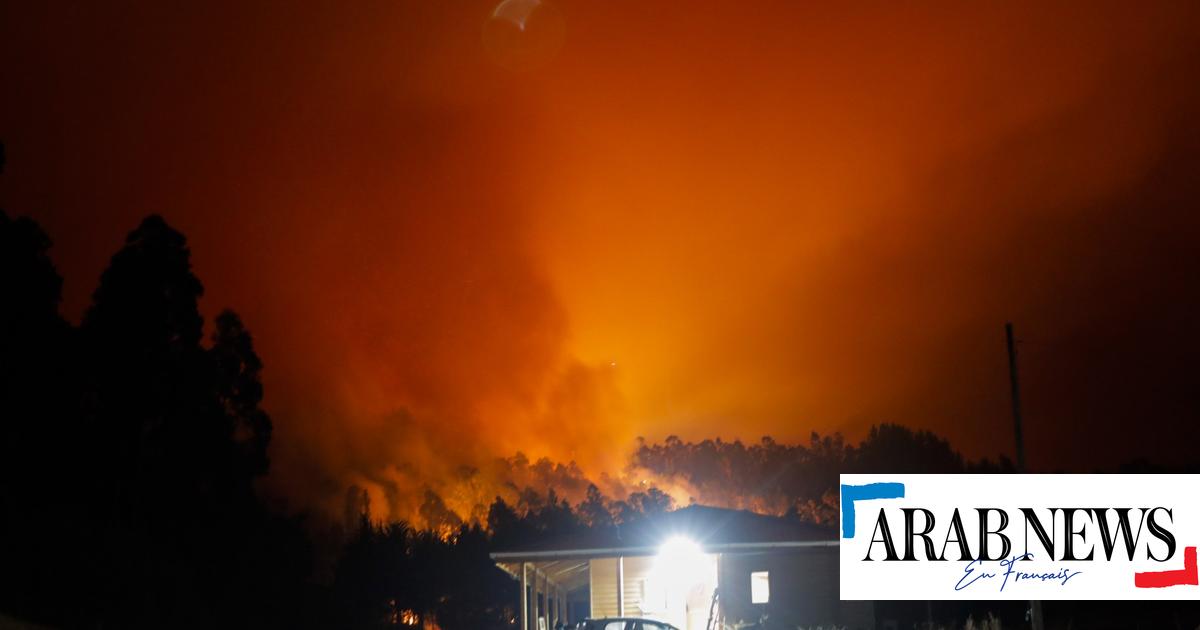 Chile: 23 muertos en incendios forestales, según nuevo informe