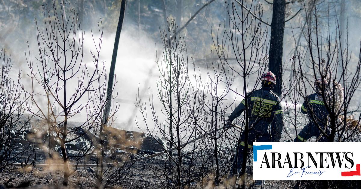 Ola de incendios forestales en el norte de España ‘bajo control’