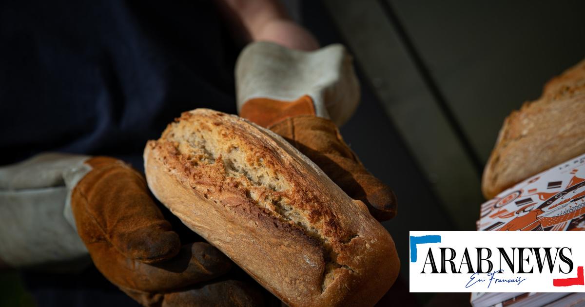 Ce boulanger normand cuit son pain à l'énergie solaire
