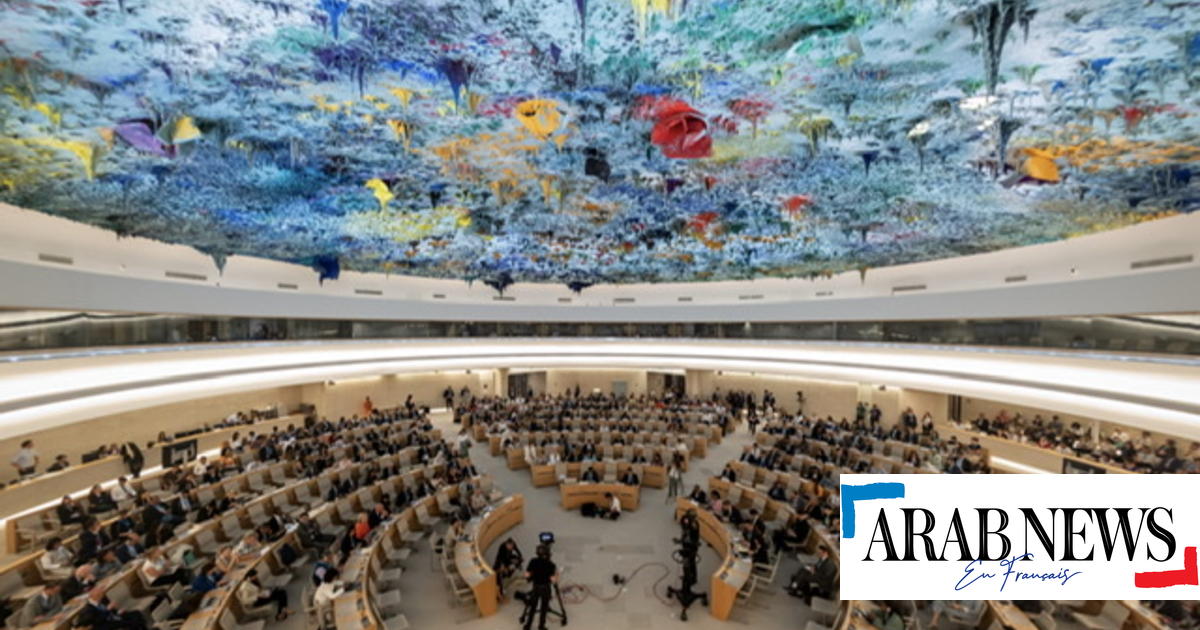 Diplomatic Dispute In The UN Human Rights Council Over Israel ...