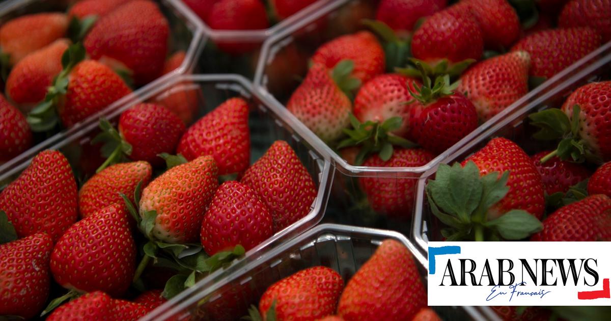 Unter Androhung eines Boykotts sehen spanische Erdbeeren rot aus