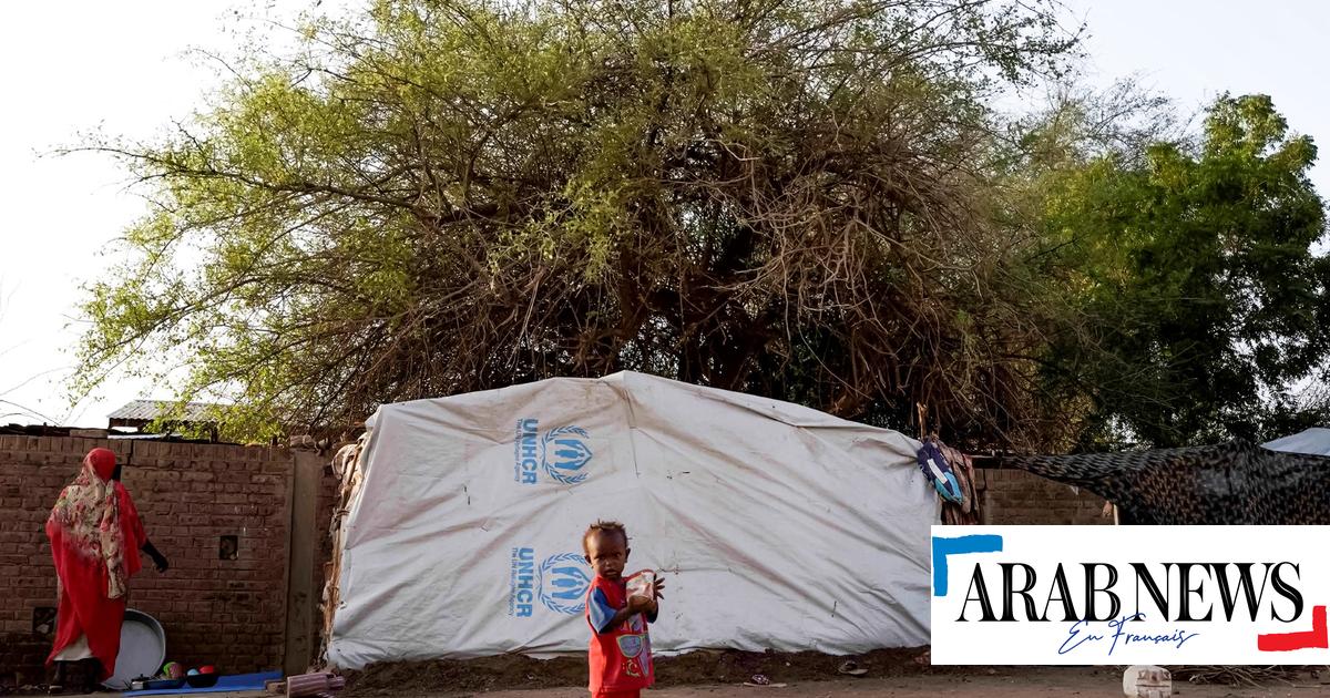 Sudão: pelo menos 87 corpos enterrados em vala comum em Darfur