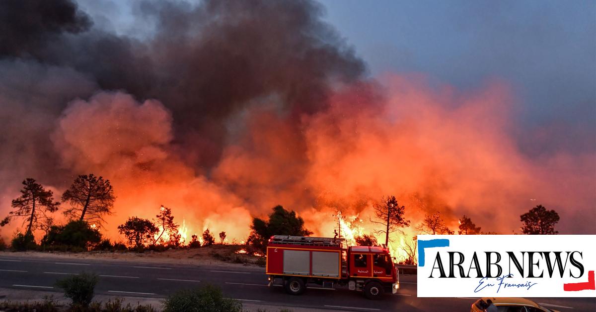 Túnez y Argelia se asfixian bajo una ola de calor sin precedentes