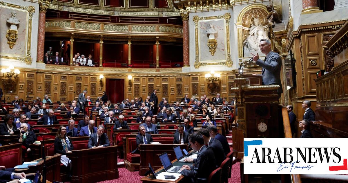 Immigration Les Associations Dénoncent Un Festival Des Horreurs Au Sénat Arab News Fr 7860