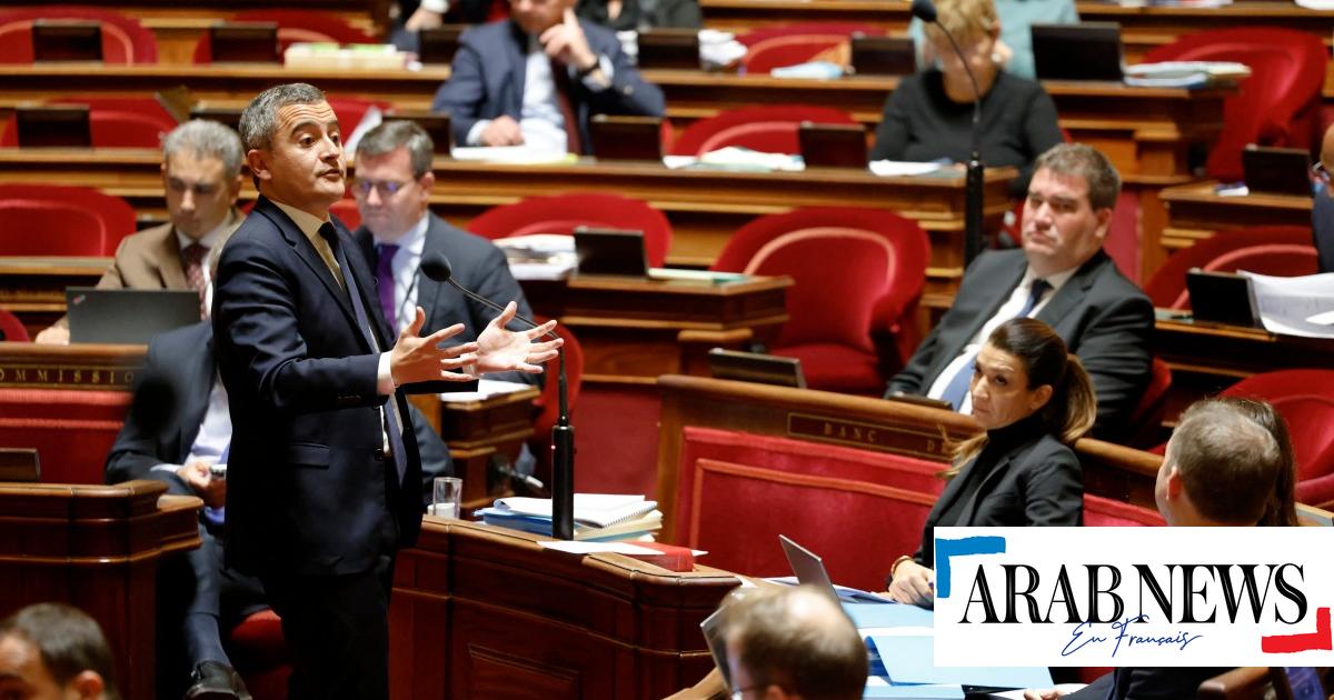 Loi Immigration: Le Sénat Supprime L'aide Médicale D'Etat | Arab News FR