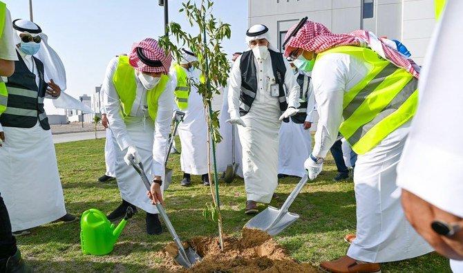 La décision saoudienne de planter des forêts dans le désert pourrait changer le monde