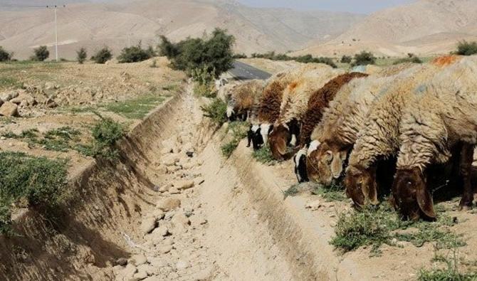 La lutte contre le changement climatique au Moyen-Orient exige une action à l'échelle régionale